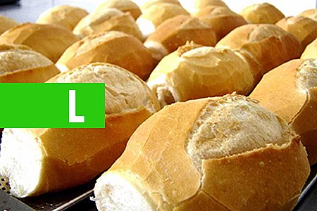 POR QUE O PÃO FRANCÊS ENDURECE E O DE FORMA NÃO? - News Rondônia