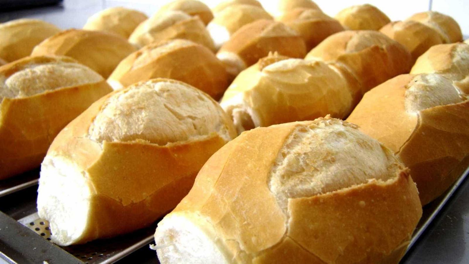 POR QUE O PÃO FRANCÊS ENDURECE E O DE FORMA NÃO? - News Rondônia