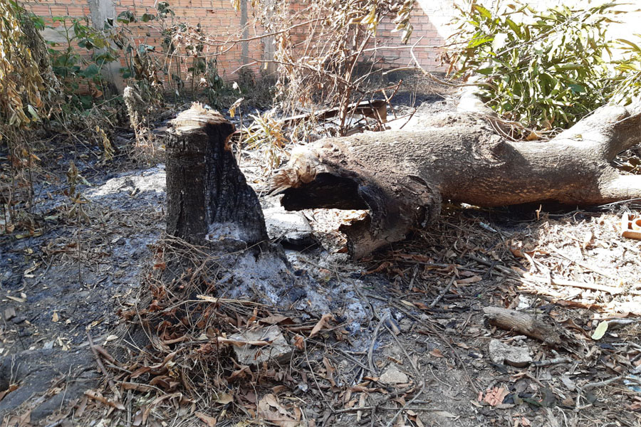 Campanha de combate às queimadas é lançada em Porto Velho - News Rondônia