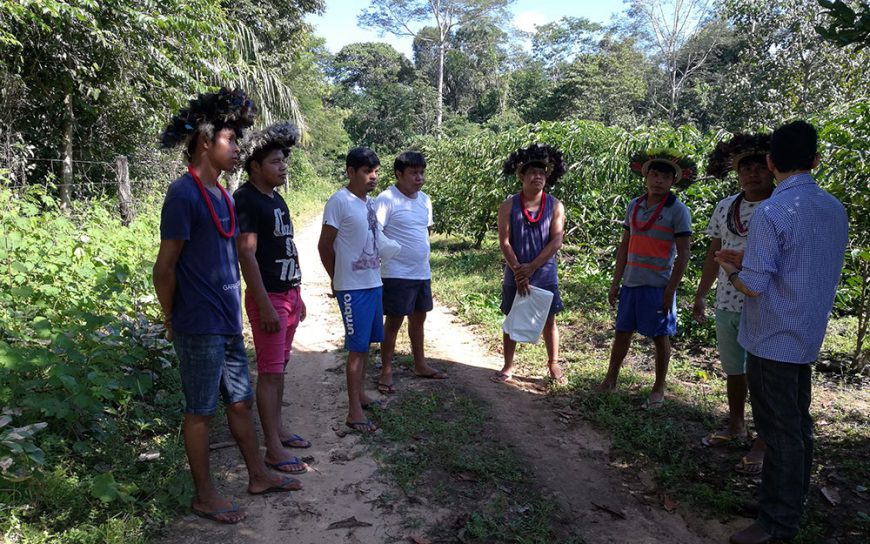 PARCERIA ENTRE EMATER E FUNAI BUSCA MELHORAR PRODUÇÃO SUSTENTÁVEL NAS COMUNIDADES INDÍGENAS DE RONDÔNIA - News Rondônia