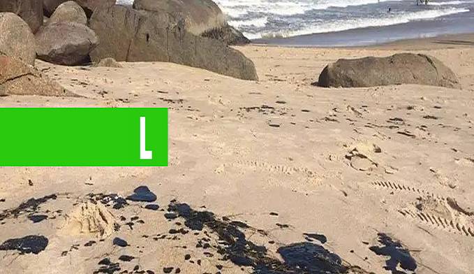 ÓLEO QUE ATINGIU PRAIAS DO NORDESTE CHEGA AO RIO DE JANEIRO - News Rondônia