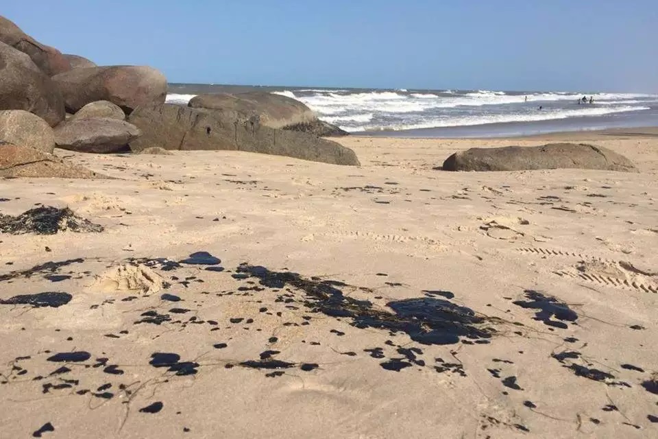 ÓLEO QUE ATINGIU PRAIAS DO NORDESTE CHEGA AO RIO DE JANEIRO - News Rondônia