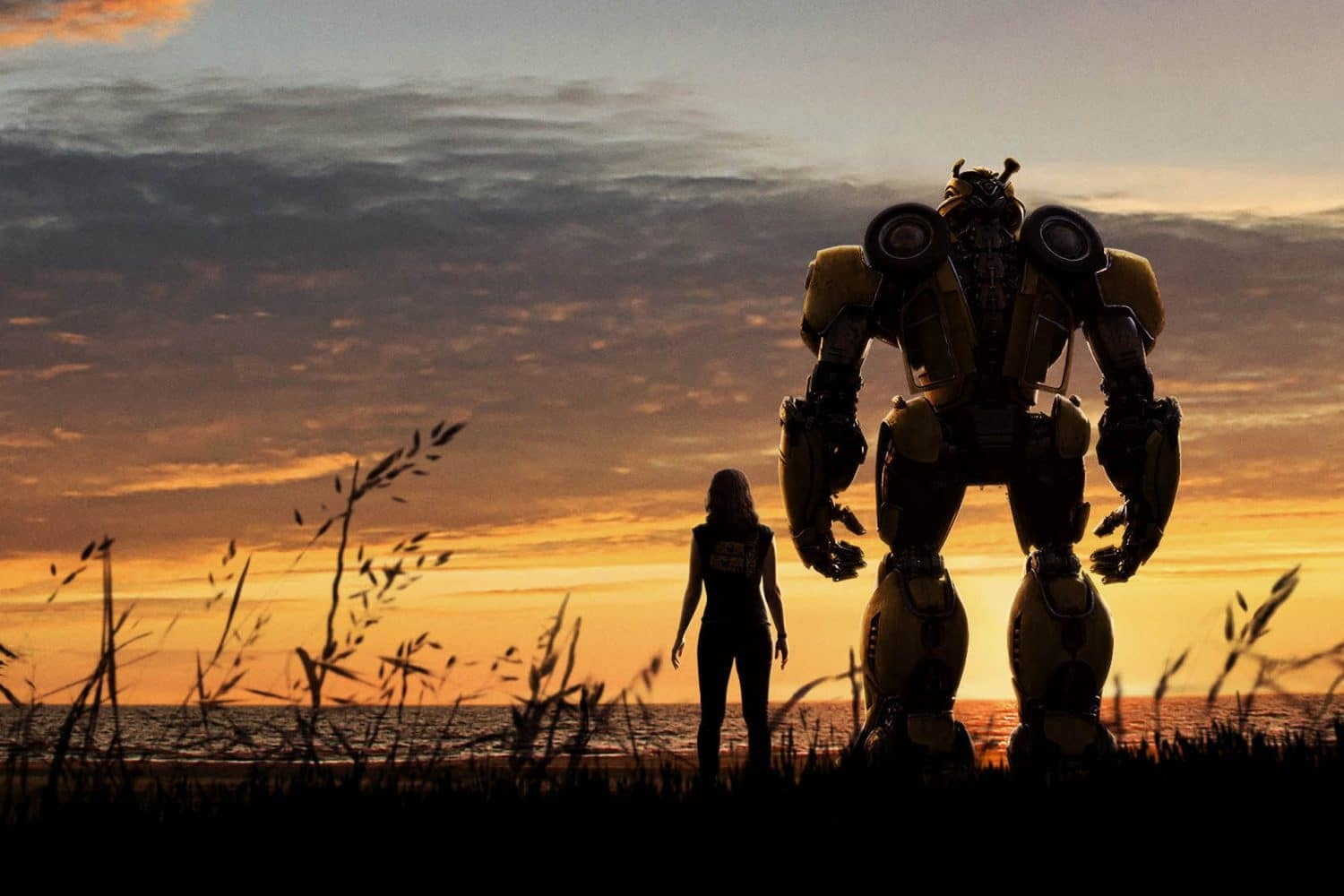 BUMBLEBEE - POR RONDINELI GONZALEZ - News Rondônia