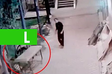NINGUÉM ACREDITOU NA HISTÓRIA ATE VER A FILMAGEM - News Rondônia
