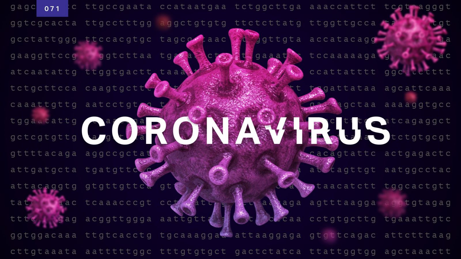 LENHA NA FOGUEIRA: CORONAVÍRUS - News Rondônia