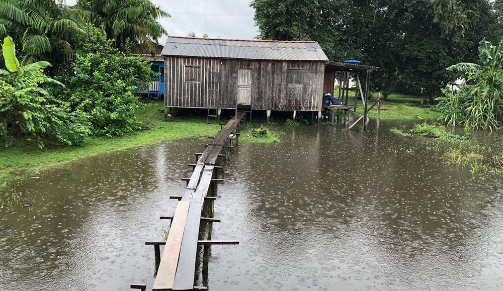 CALAMA: UM LINDO LUGAR ONDE TERMINA RONDÔNIA E COMEÇA O AMAZONAS - POR ALESSANDRO LUBIANA - News Rondônia