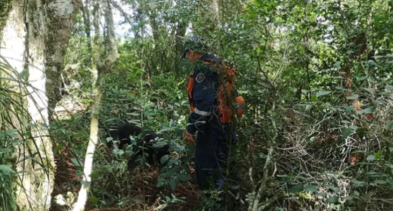 Vizinho de 15 anos confessa ter estrangulado e pendurado jovem de 14 na árvore - News Rondônia
