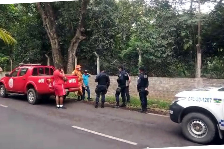IDENTIFICADO: Corpo é encontrado em córrego próximo do aeroporto em Porto Velho - News Rondônia