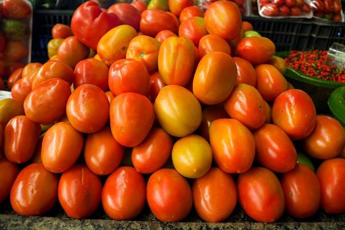 Conab destaca tomates mais baratos e aumento da exportação de frutas - News Rondônia