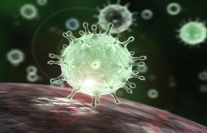 INFECÇÃO: SOBE PARA 13 O NÚMERO DE CASOS CONFIRMADOS DO NOVO CORONAVÍRUS NO BRASIL - News Rondônia