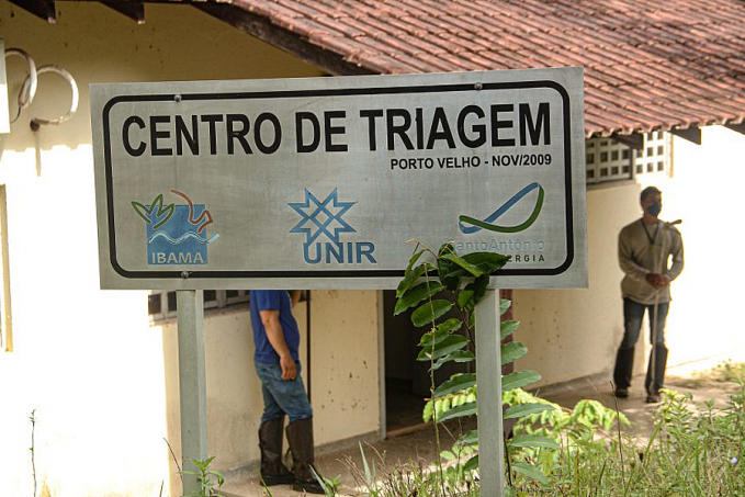 Parceria entre Sedam e Ibama prevê reativação do Centro de Triagem e Reabilitação de Animais Silvestres em Rondônia - News Rondônia