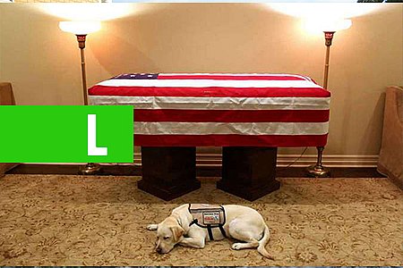 CÃO DE GEORGE H. W. BUSH FICA AO LADO DO CAIXÃO DO EX-PRESIDENTE DOS EUA - News Rondônia