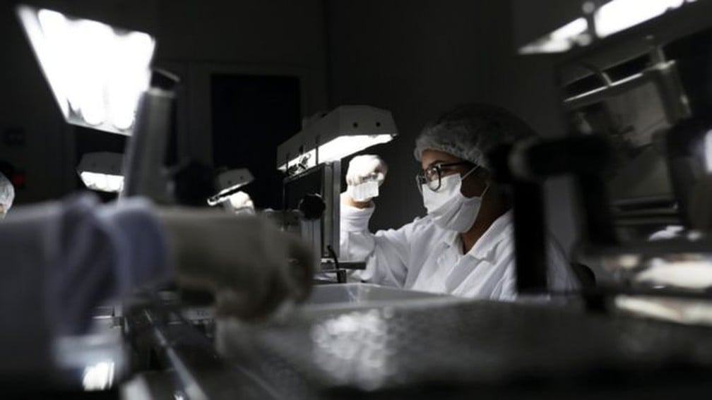 Instituto Butantan vai construir fábrica para produzir soros e transformar imunizante líquido em pó - News Rondônia