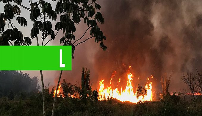 BOMBEIROS TENTAM APAGAR INCÊNDIO EM GRANDE MATAGAL AO LADO DO ESPAÇO ALTERNATIVO - News Rondônia