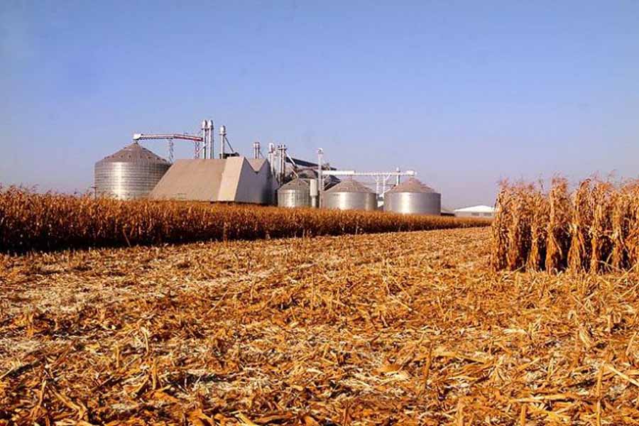 Conab realiza seminário virtual para debater desafios da armazenagem agrícola - News Rondônia