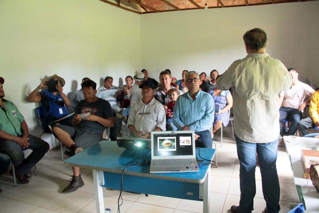 FESTIVAL FORTALECE A PRODUÇÃO DE BANANA EM CUJUBINZINHO E DEBATE MEDIDAS CONTRA PRAGAS E FUNGOS - News Rondônia