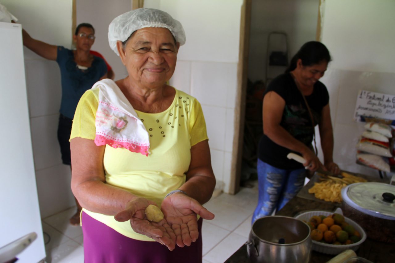 FESTIVAL FORTALECE A PRODUÇÃO DE BANANA EM CUJUBINZINHO E DEBATE MEDIDAS CONTRA PRAGAS E FUNGOS - News Rondônia
