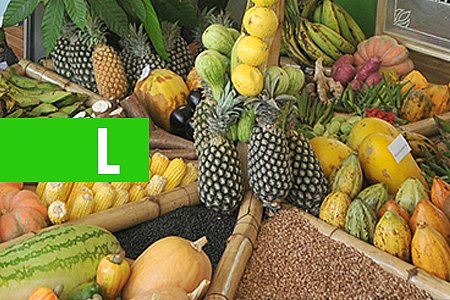 SEMED - LICITAÇÃO PARA AQUISIÇÃO DE ALIMENTOS PARA MERENDA ESCOLAR ACONTECE NESSA QUINTA-FEIRA - News Rondônia