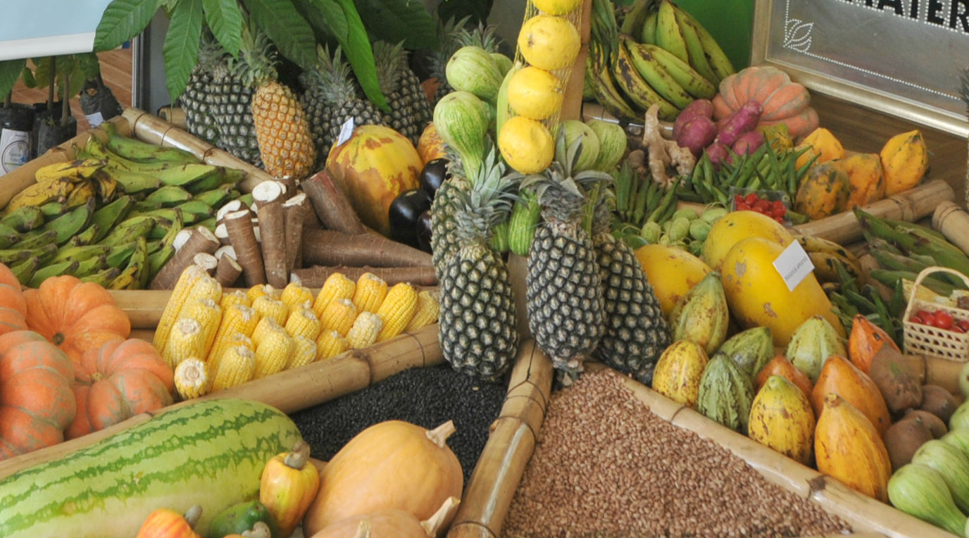 SEMED - LICITAÇÃO PARA AQUISIÇÃO DE ALIMENTOS PARA MERENDA ESCOLAR ACONTECE NESSA QUINTA-FEIRA - News Rondônia
