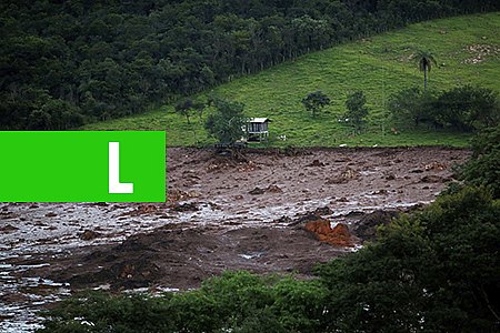 FAMÍLIA BUSCA POR CONTA PRÓPRIA PARENTE DESAPARECIDO EM BRUMADINHO - News Rondônia