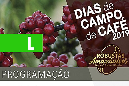 EMBRAPA APRESENTA NOVAS CULTIVARES HÍBRIDAS DE CAFÉ EM DIAS DE CAMPO EM RONDÔNIA E ACRE - News Rondônia