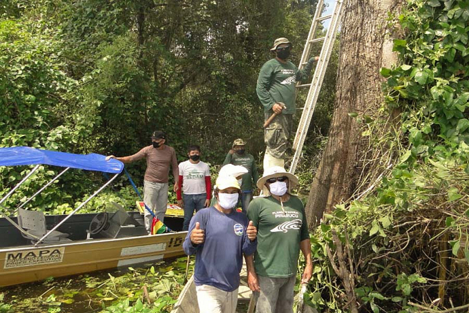 Ação preserva área de manejo sustentável do Pirarucu - News Rondônia