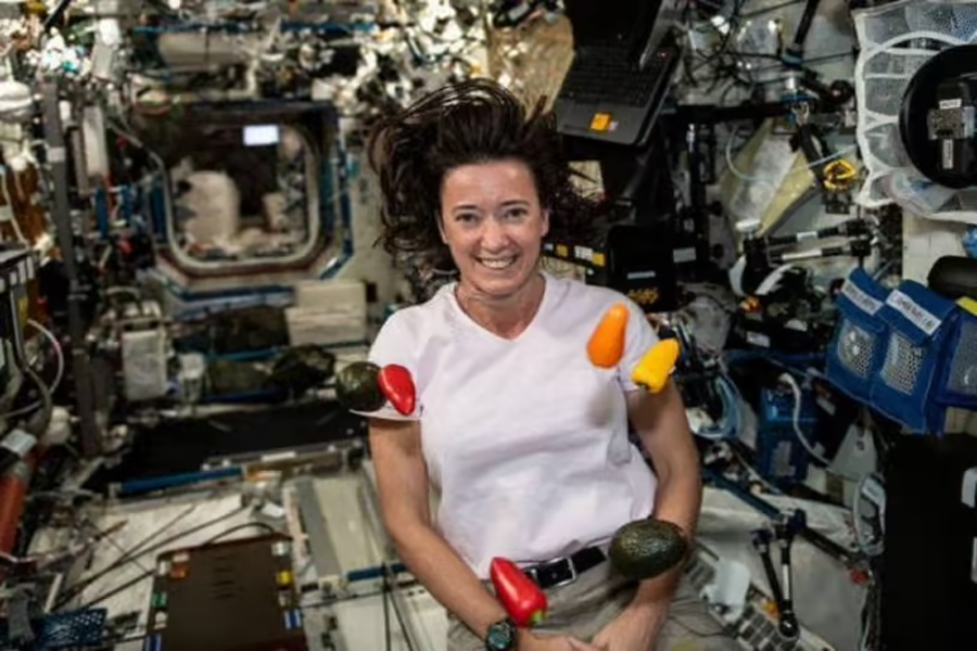 Nasa oferece US$ 1 milhão por alimento inovador para astronautas - News Rondônia