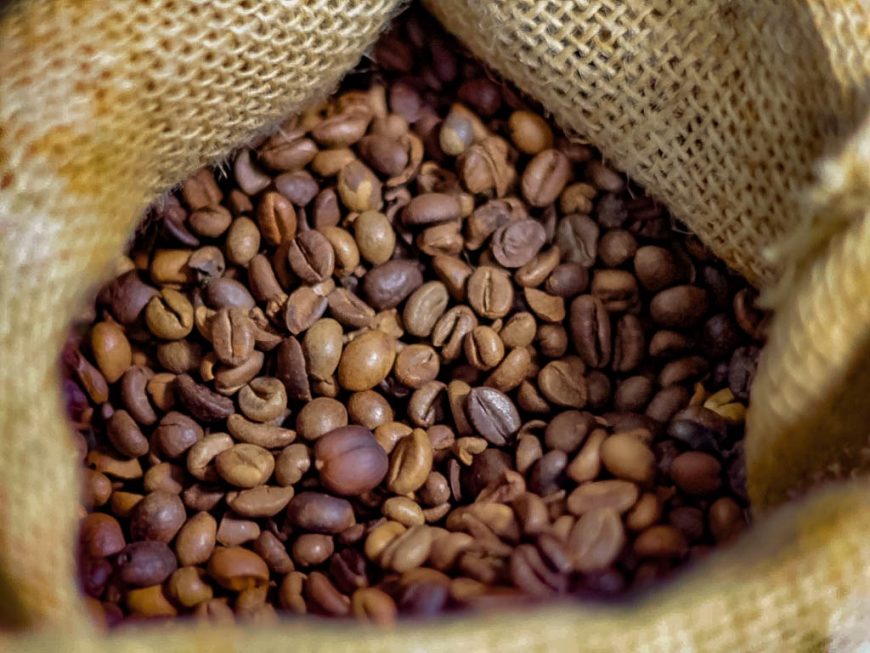 Premiação da 5ª edição do Concafé acontece nesta sexta-feira, 6, por meio de transmissão online - News Rondônia