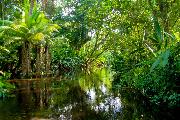 Audiência discute limites do Parque Mapinguari entre RO e AM, nesta sexta - News Rondônia