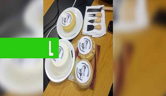 PRIMEIRO CONCURSO DE QUEIJO SERÁ REALIZADO PELO GOVERNO DE RONDÔNIA EM MAIO DE 2020 - News Rondônia