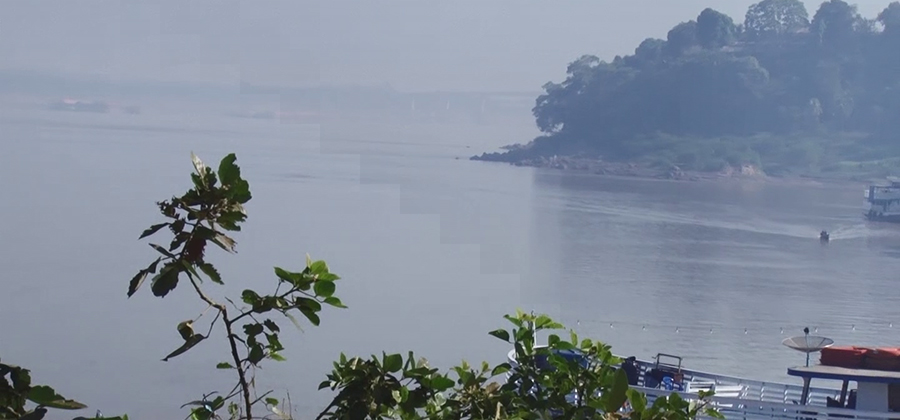 QUEIMADAS: FOGO DESTRÓI RESERVA ECOLÓGICA E COLOCA RONDÔNIA NA LIDERANÇA NO BRASIL - News Rondônia