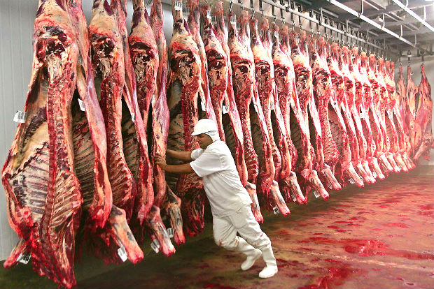 RONDÔNIA FOI O 4º MAIOR EXPORTADOR NACIONAL DE CARNE BOVINA EM 2018 - News Rondônia