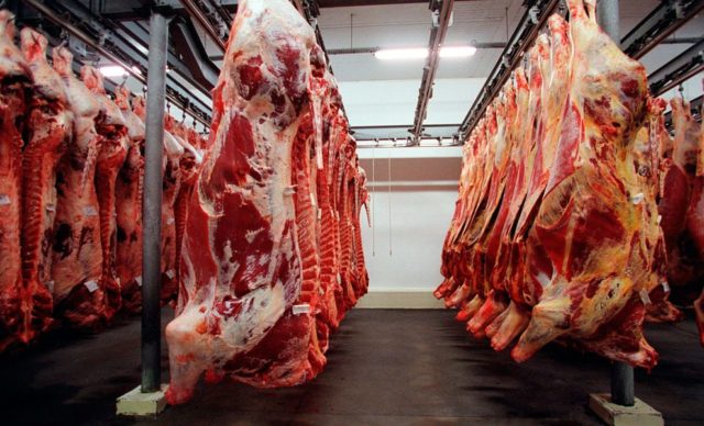 RONDÔNIA FOI O 4º MAIOR EXPORTADOR NACIONAL DE CARNE BOVINA EM 2018 - News Rondônia