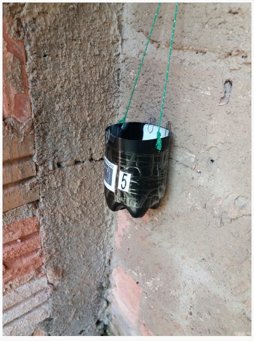 APLICATIVO PARA SMARTPHONE É UTILIZADO NA VIGILÂNCIA DO MOSQUITO AEDES AEGYPTI, EM RONDÔNIA - News Rondônia