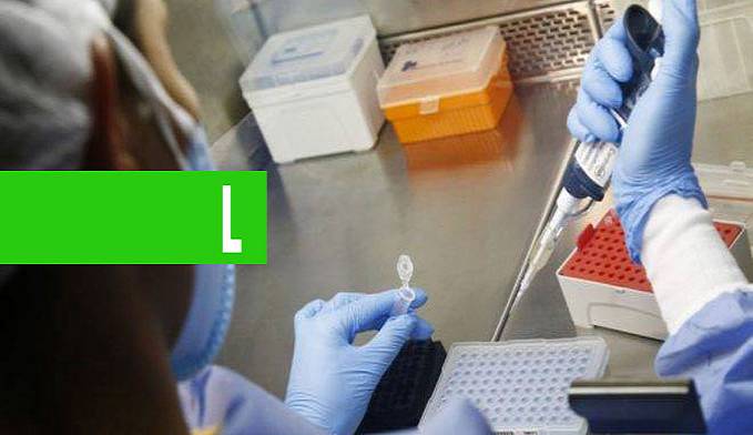 1º PACIENTE DIAGNOSTICADO COM CORONAVÍRUS NO BRASIL ESTÁ CURADO - News Rondônia