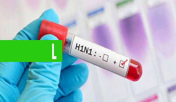 SAIBA POR QUE O H1N1 NÃO PAROU ECONOMIAS COMO A PANDEMIA DE CORONAVÍRUS? - News Rondônia