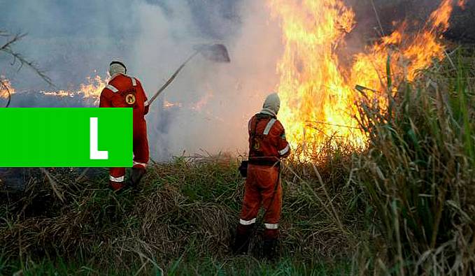 Combate ao desmatamento e queimadas é fortalecido com ações de órgãos controladores - News Rondônia