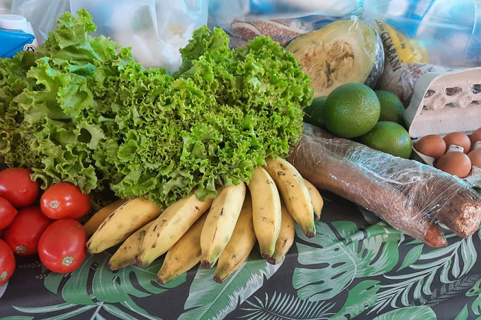 AGRICULTURA FAMILIAR - Governo de Rondônia vai auxilia produtores a participarem de chamada pública da Aeronáutica para compra de alimentos - News Rondônia