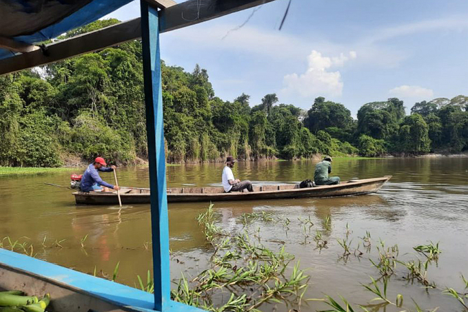 Sedam faz levantamento sobre pirarucus na Resex Pacaás Novos utilizando método do Instituto Mamirauá no Amazonas - News Rondônia