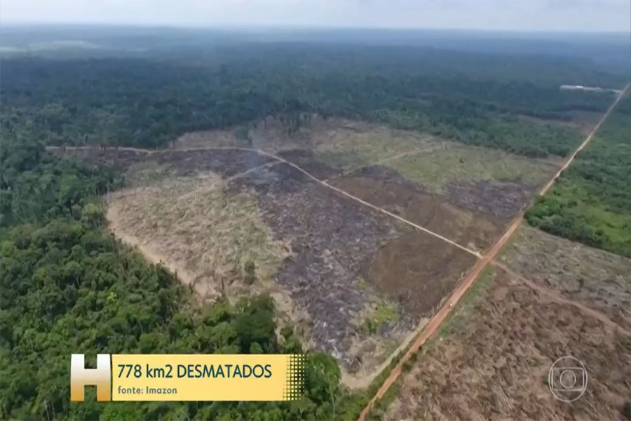 Ocupação irregular na Amazônia Legal cresceu 56% nos 2 primeiros anos de Bolsonaro, diz instituto - News Rondônia