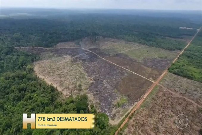 Ocupação irregular na Amazônia Legal cresceu 56% nos 2 primeiros anos de Bolsonaro, diz instituto - News Rondônia