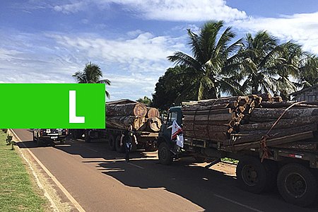 POLÍCIA CIVIL E MINISTÉRIO PÚBLICO DEFLAGRAM OPERAÇÃO DE COMBATE AO DESMATAMENTO ILEGAL DE MADEIRA E À CORRUPÇÃO - News Rondônia