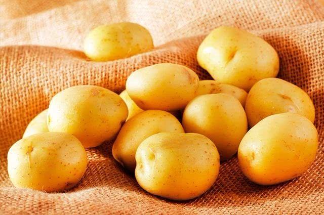 BOLETIM DA CONAB MOSTRA REDUÇÃO NOS PREÇOS DA BATATA - News Rondônia
