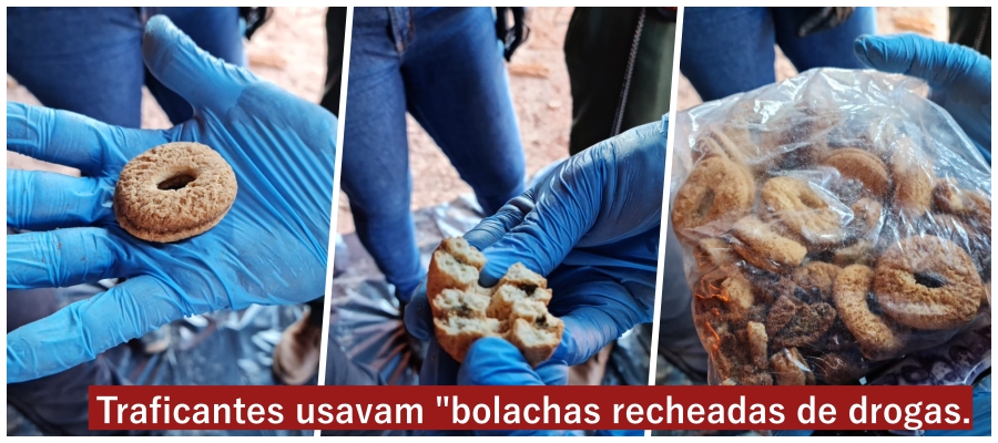 Denarc faz incineração de 167kg de drogas apreendidas na Operação Narco Brasil - News Rondônia
