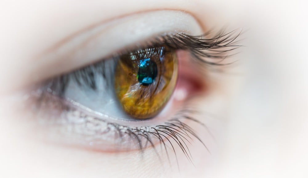 Estudo liderado por brasileiros encontra coronavírus na retina humana - News Rondônia