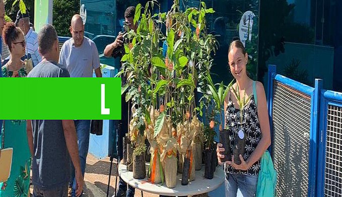 CERON DISTRIBUIU 150 MUDAS DE IPÊS EM COMEMORAÇÃO AO DIA MUNDIAL DO MEIO AMBIENTE - News Rondônia