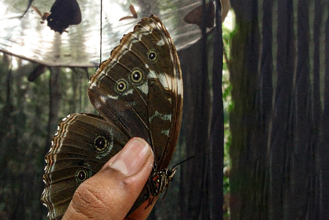 Biodiversidade do Parque Estadual de Guajará-Mirim é monitorada; ação envolve comunidade tradicional - News Rondônia