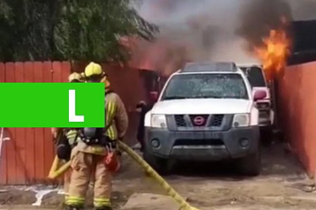 VÍDEO: HOMEM ENTRA EM CASA PEGANDO FOGO PARA SALVAR CACHORRO E VIRA HERÓI - News Rondônia