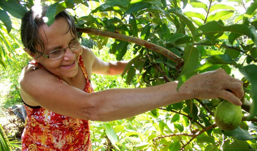 SEAGRI E PARCEIROS REÚNEM ASSOCIAÇÕES E COOPERATIVAS DA AGRICULTURA FAMILIAR NA CAPITAL - News Rondônia