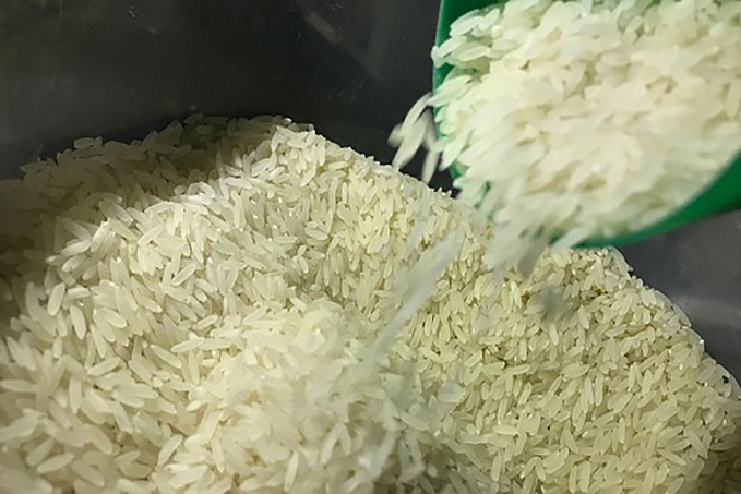 Conab prorroga pesquisa de estoques privados de arroz, café e trigo até 30 de abril - News Rondônia
